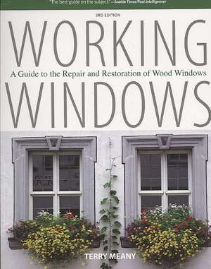 Working Windows de Terry Meany