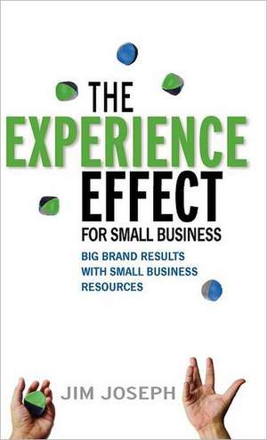 The Experience Effect for Small Business: Big Brand Results with Small Business Resources de Jim Joseph