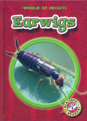 Earwigs de Colleen A. Sexton