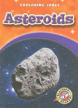 Asteroids de Derek Zobel