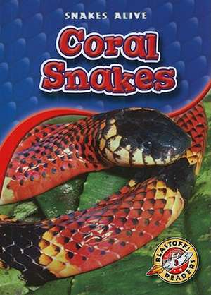 Coral Snakes de Colleen Sexton