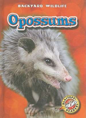 Opossums de Emily K. Green