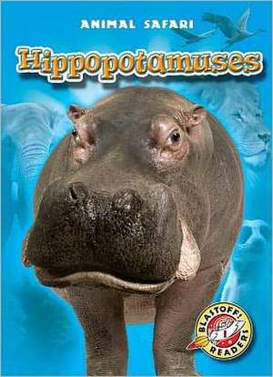 Hippopotamuses de Kari Schuetz