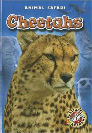 Cheetahs de Megan Borgert-Spaniol