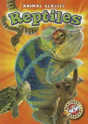 Reptiles de Kari Schuetz