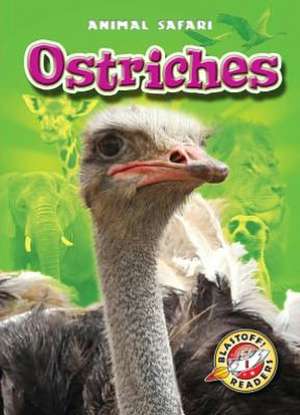 Ostriches de Kari Schuetz