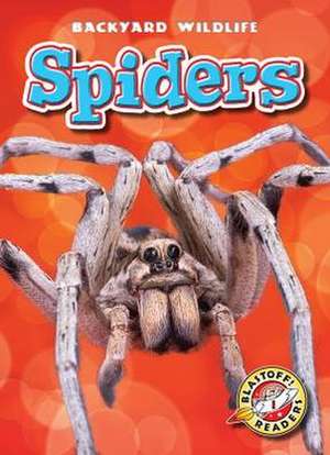 Spiders de Megan Borgert-Spaniol