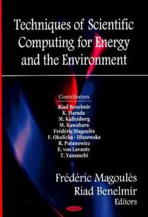 Techniques of Scientific Computing for the Energy and Environment de Frederic Magoules