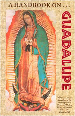 A Handbook on Guadalupe de Franciscan Friars of the Immaculate