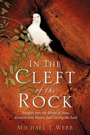 In The Cleft Of The Rock de Michael J Webb