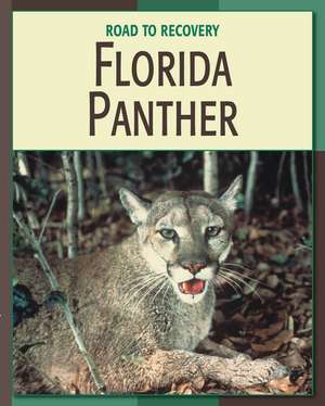 Florida Panther de Barbara A. Somervill