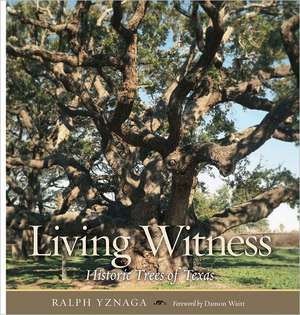 Living Witness de Ralph Yznaga