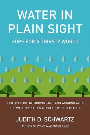 Water in Plain Sight de Judith D Schwartz