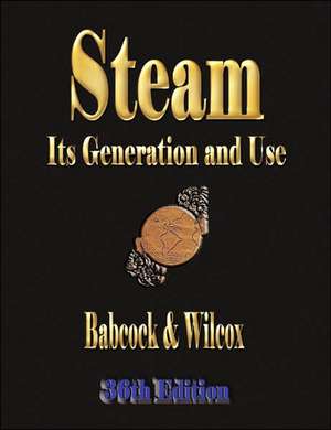 Steam de Babcock & Wilcox Co