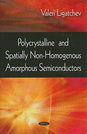 Polycrystalline and Spatially Non-Homogenous Amorphous Semiconductors de Valeri Ligatchev