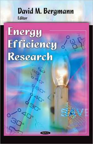 Energy Efficiency Research de David M. Bergmann