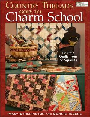 Country Threads Goes to Charm School: 19 Little Quilts from 5" Squares de Mary Etherington