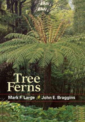 Tree Ferns de Mark F. Large