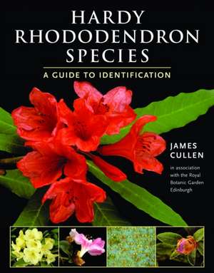 Hardy Rhododendron Species: A Guide to Identification de James Cullen