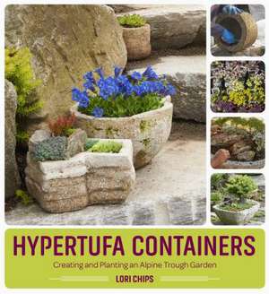 Hypertufa Containers de Chips, Lori