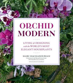 Orchid Modern de Marc Hachadourian