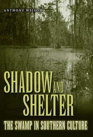 Shadow and Shelter de Anthony Wilson