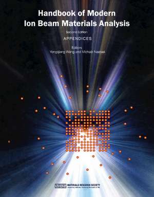 Handbook of Modern Ion Beam Materials Analysis de Yongqiang Wang