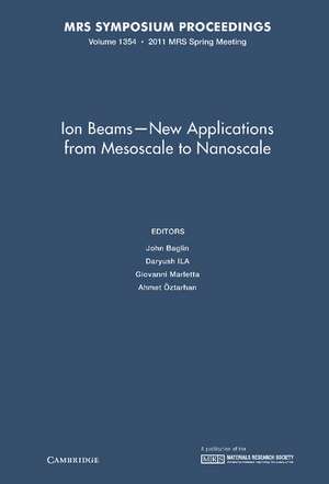 Ion Beams - New Applications from Mesoscale to Nanoscale: Volume 1354 de John Baglin