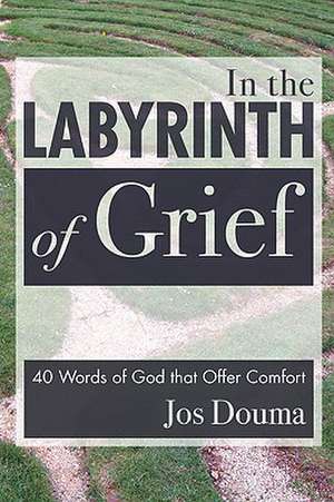 In the Labyrinth of Grief de Jos Douma