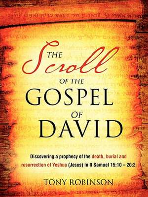 The Scroll of the Gospel of David de Tony Robinson