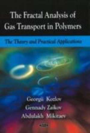 Fractal Analysis of Gas Transport in Polymers de Georgii Vladimirovich Kozlov