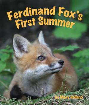 Ferdinand Fox's First Summer de Mary Holland