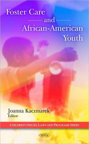 Foster Care and African-American Youth de Joanna Kaczmarek