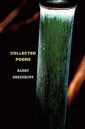 Collected Poems de Barry Sheinkopf