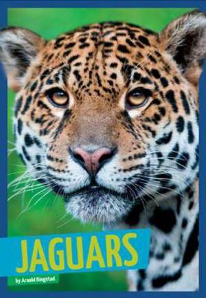 Jaguars de Arnold Ringstad