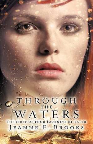 Through the Waters de Jeanne F. Brooks