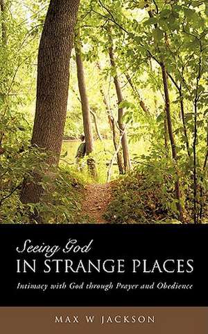 Seeing God in Strange Places de Max W. Jackson