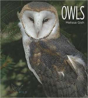 Owls de Melissa Gish