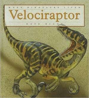 Velociraptor de Kate Riggs