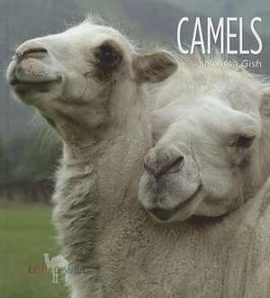 Camels de Melissa Gish