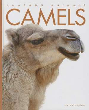 Camels de Kate Riggs