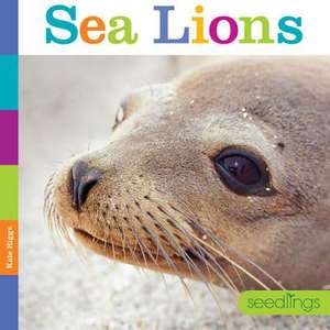 Seedlings Sea Lions de Kate Riggs