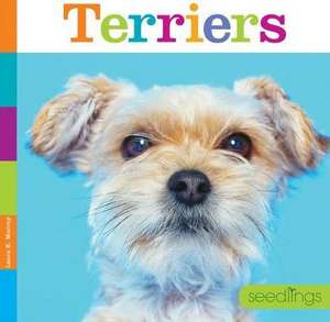 Terriers de Laura K. Murray