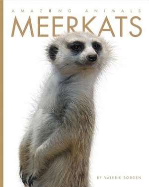 Meerkats de Valerie Bodden