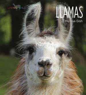 Llamas de Melissa Gish