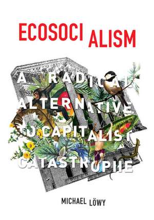 Ecosocialism: A Radical Alternative to Capitalist Catastrophe de Michael Lowy