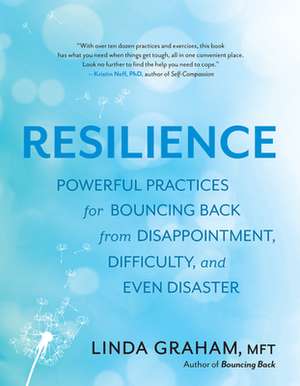 The Resilience Toolkit: Powerful Practices for Bouncing Back from Disappointment, Difficulty, and Even Disaster de Linda Graham