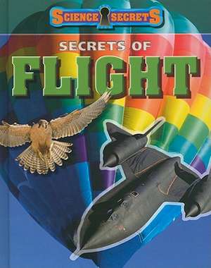 Secrets of Flight de Andrew Solway