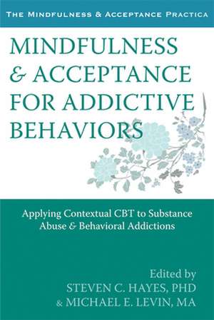 Mindfulness & Acceptance for Addictive Behaviors: Applying Contextual CBT to Substance Abuse and Behavioral Addictions de Steven C. Hayes