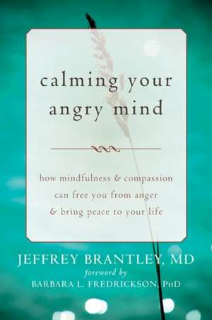 Calming Your Angry Mind: How Mindfulness & Compassion Can Free You from Anger & Bring Peace to Your Life de JeffreyMD Brantley